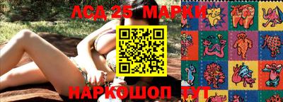 сатива Кимры