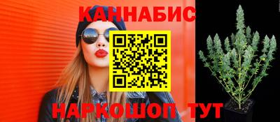 сатива Кимры