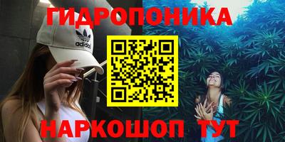 спайс Кинель