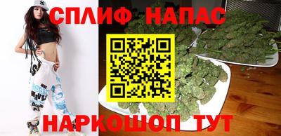 сатива Кимры